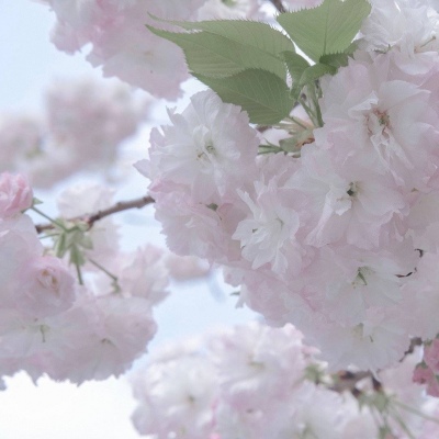 Furry兽设设计灵感合集福瑞群